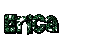 ericaglitter1sm